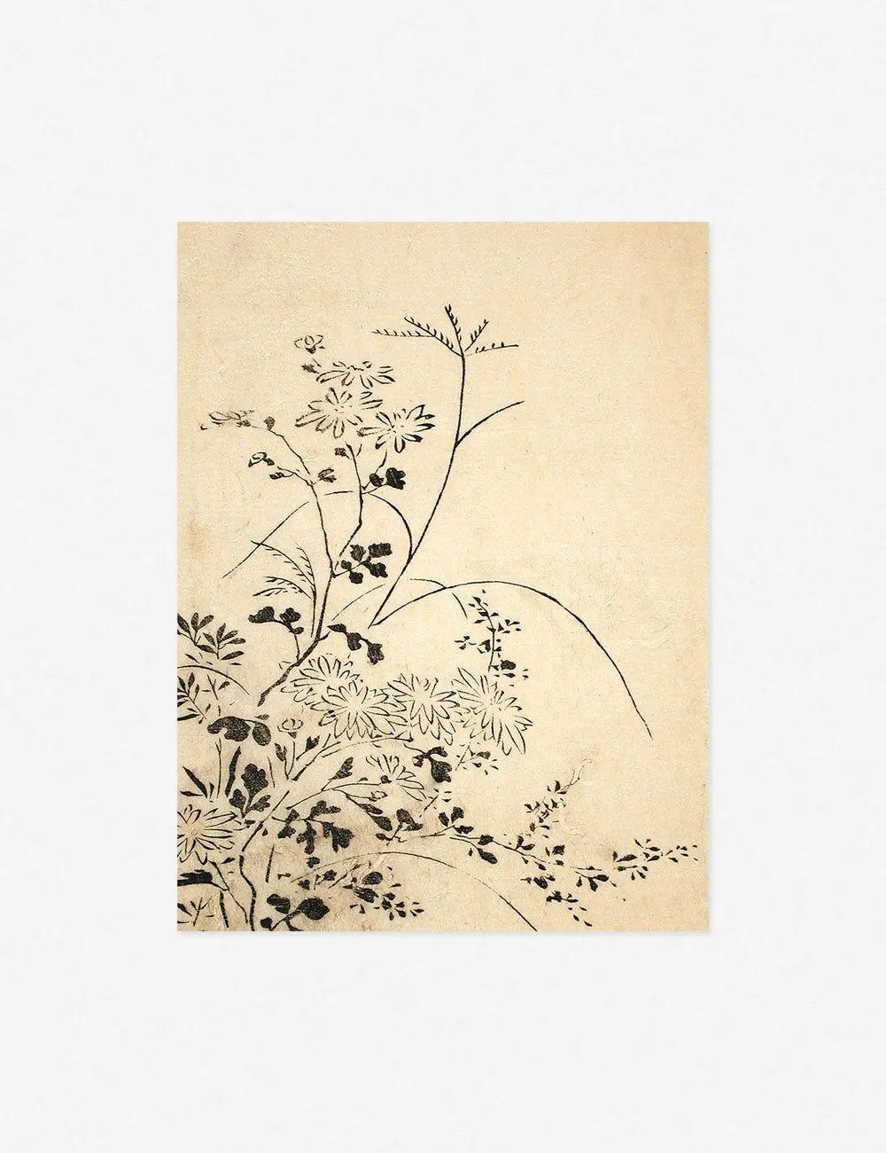 Autumn Flowers and Grasses Print by Miyazaki Yūzen