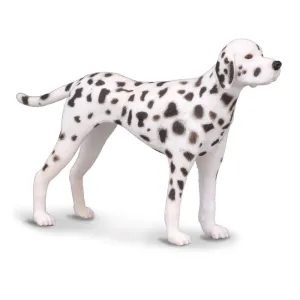 Dalmatian