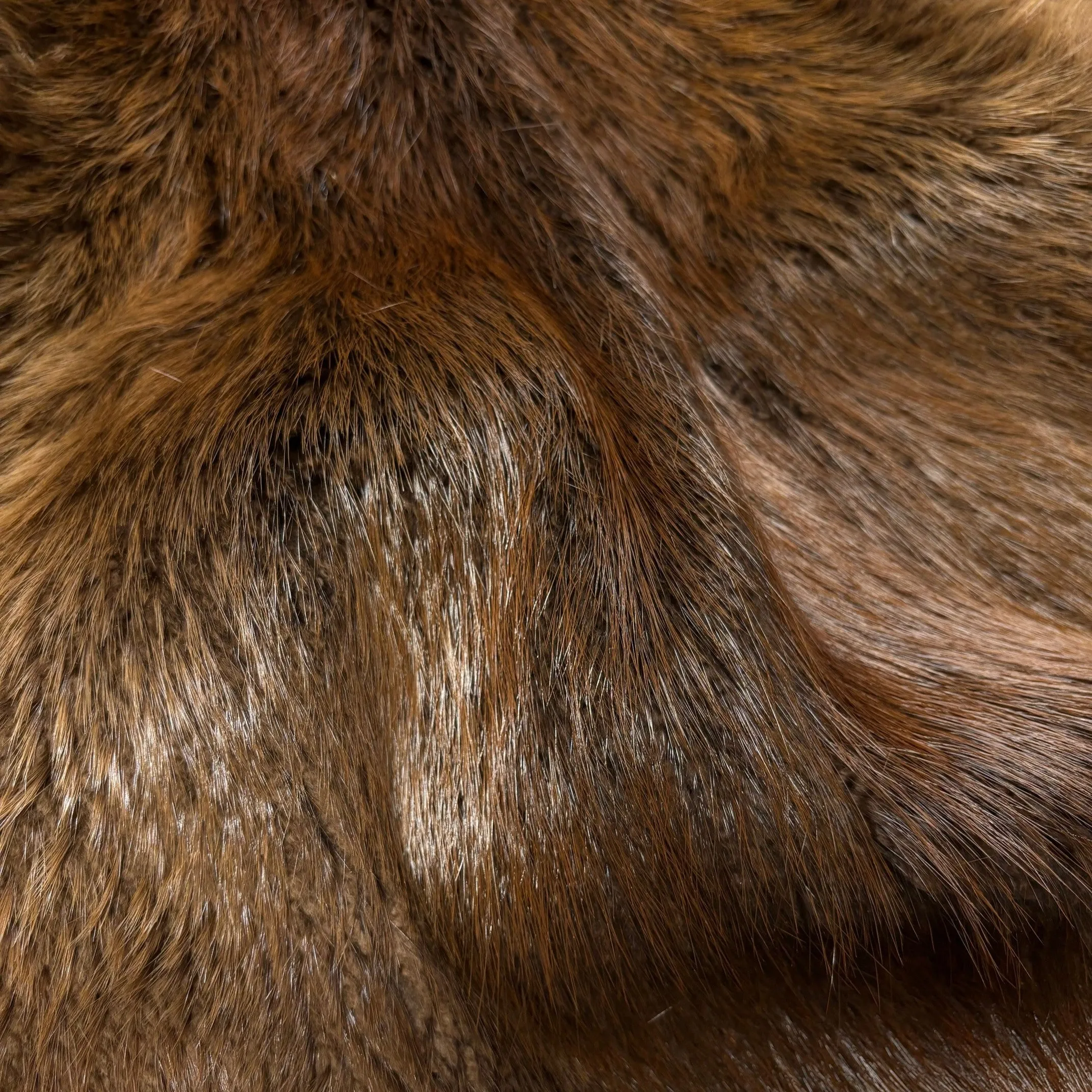 Genuine Beaver Pelt