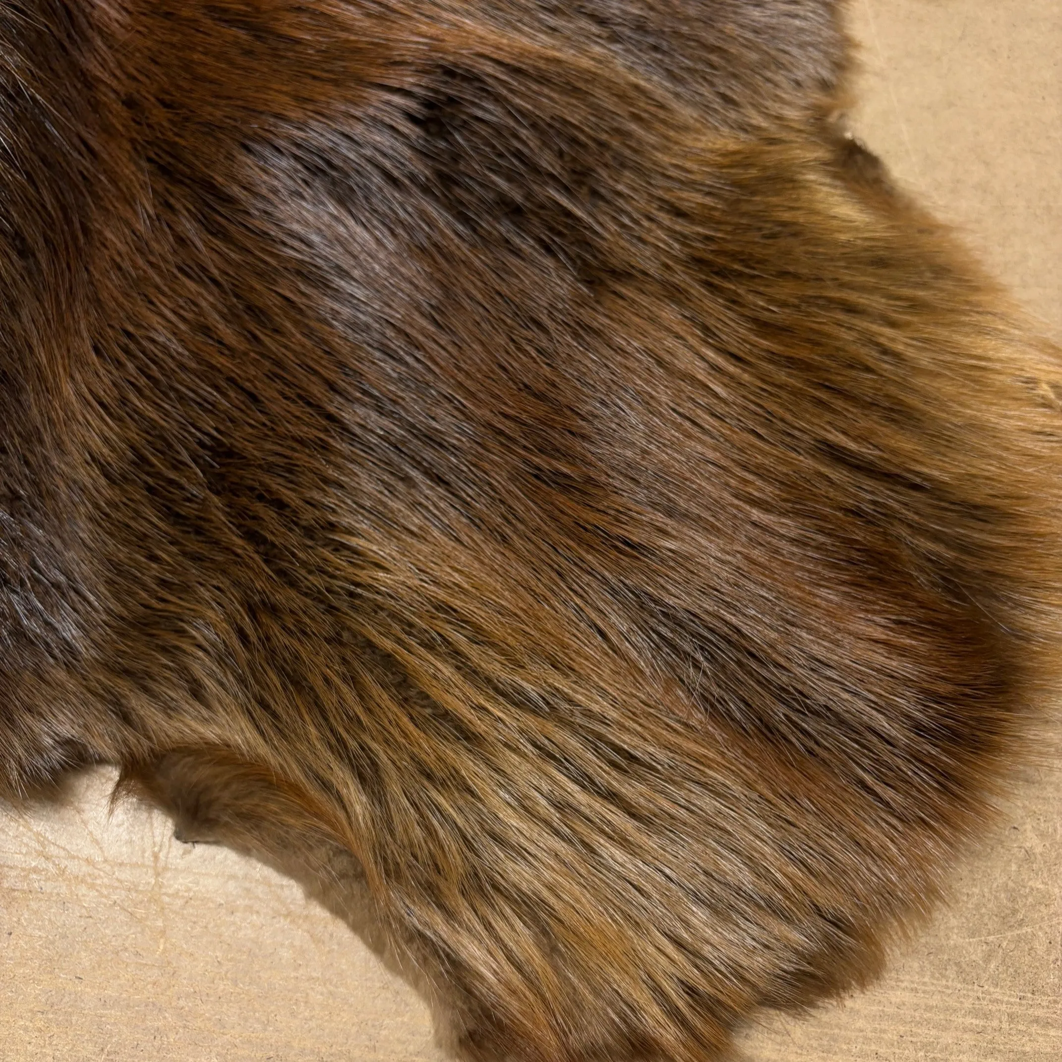 Genuine Beaver Pelt